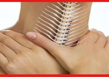 Health Tips: গলায় মাছের কাঁটা বিঁধে যন্ত্রণা করছে? বাড়িতেই করুন বিশেষ টোটকা