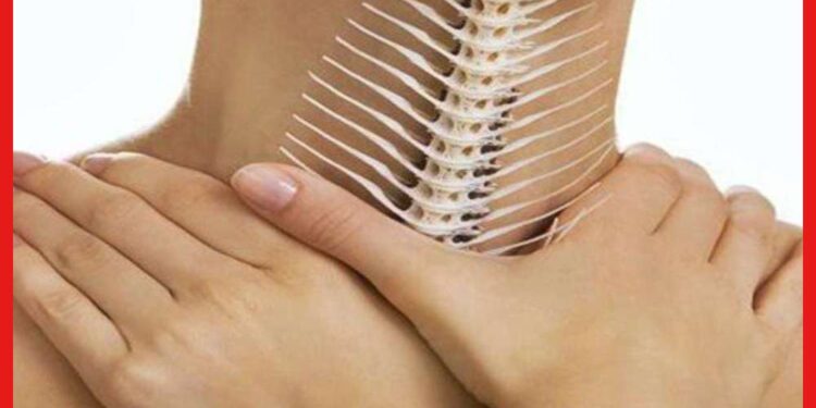 Health Tips: গলায় মাছের কাঁটা বিঁধে যন্ত্রণা করছে? বাড়িতেই করুন বিশেষ টোটকা