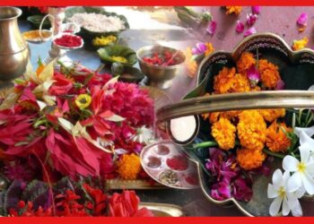 Flower in Puja: দেব-দেবীদের পছন্দের ফুল কোনটি? সুফল পেতে এক নজরে দেখে নিন