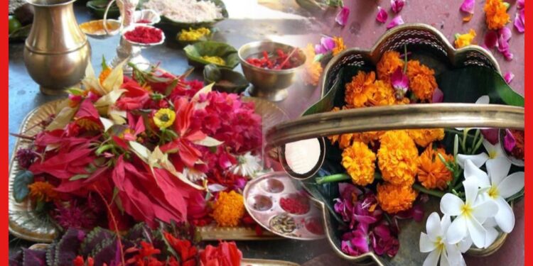 Flower in Puja: দেব-দেবীদের পছন্দের ফুল কোনটি? সুফল পেতে এক নজরে দেখে নিন