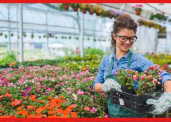 Care Of Plants: নিয়মিত জল দিচ্ছেন, তাও মরে যাচ্ছে পছন্দের গাছ? ভুল পরিচর্যা করছেন না তো !