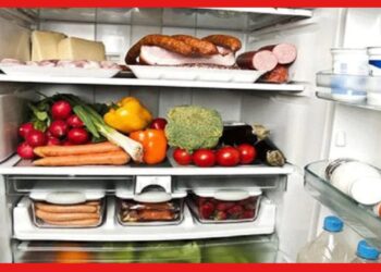 HEALTH TIPS: ফ্রিজে বেশিদিন খাবার রাখলেই বিপদ, শরীরে বাসা বাঁধবে জটিল রোগ