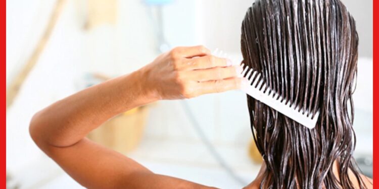 Hair Conditioner: বাজার চলতি কন্ডিশনারে চুলের অবস্থা বেহাল, বাড়িতেই আছে সমস্যার সমাধান
