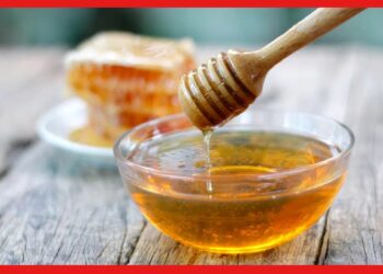 Benifits of honey: যাদুকরী মধু আপনি কত ভাবে ব্যবহার করতে পারেন, জানেন কী?