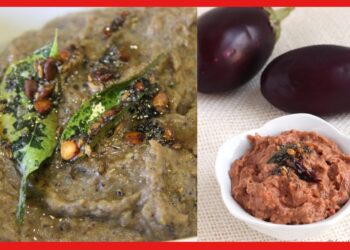 Winter condiment: এই শীতে অবশ্যই ট্রাই করুন মজাদার চটপটা বেগুনের চাটনিরইল রেসেপি