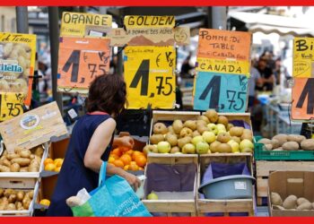 Inflation in France: বাড়ছে খাদ্যদ্রব্যের দাম, ফ্রান্সের মূল্যস্ফীতি পৌঁছাল অপ্রত্যাশিত উচ্চতায়