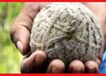 Child injured in blast: বল ভেবে খেলতে গিয়ে ফাটল বোমা, গুরুতর জখম শিশুসহ এক মহিলা