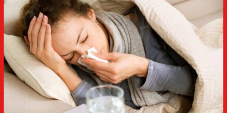 Home Remedy for cough and cold: সর্দি কাশি হলেই সিরাপ খাচ্ছেন? ভরসা রাখুন এই ঘরোয়া টোটকায়