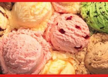 Ice cream shop guide: সারা বছরই চাহিদা, যেভাবে অল্প টাকায় আইসক্রিম তৈরির ব্যবসা শুরু করবেন