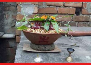 Itu puja: ইতু শস্য, সৌভাগ্য আর মঙ্গলের প্রতীক, কিভাবে করবেন এই পুজো?