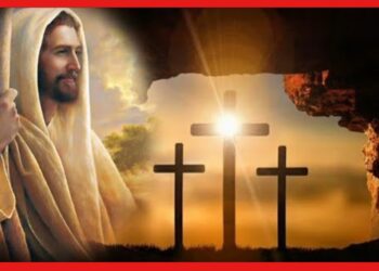 Jesus story : সামনেই বড়দিন, যিশুখ্রীষ্টের জীবনের অজানা কথা