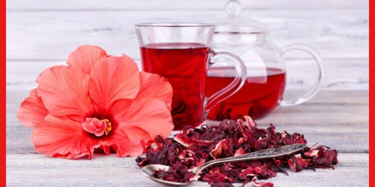 Hibiscus hair oil: এক চুটকিতে চুল ওঠা বন্ধ, ব্যবহার করুন জবা ফুলের তেল