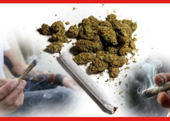 Marijuana : জটিল রোগ সারাতে পারে গাঁজা! কী বলছে গবেষণা?