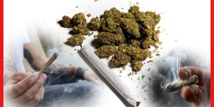Marijuana : জটিল রোগ সারাতে পারে গাঁজা! কী বলছে গবেষণা?