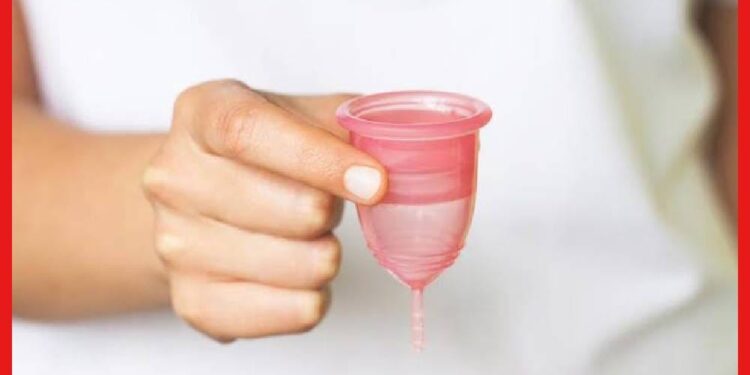 Menstrual Cup: মেনস্ট্রুয়াল কাপ কতটা নিরাপদ ? এই সম্পর্কে যা আপনার অবশ্যই জানা প্রয়োজন