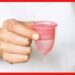 Menstrual Cup: মেনস্ট্রুয়াল কাপ কতটা নিরাপদ ? এই সম্পর্কে যা আপনার অবশ্যই জানা প্রয়োজন