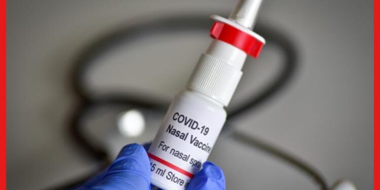 Covid Nasal Vaccine: ইনজেকশনের মাধ্যমে টিকা নাকি ন্যাজাল ড্রপ ? সংক্রমণ ঠেকাতে কে বেশি সক্ষম