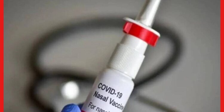 Nasal vaccine: করোনা রুখতে বড় পদক্ষেপ, নেজাল ভ্যাকসিনের দাম বেঁধে দিল কেন্দ্র