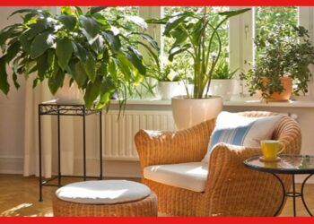 Winter home maintenance: বদ্ধ পরিবেশ একদম নয়, জেনে নিন শীতে ঘরের পরিচর্যা