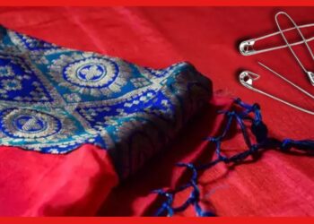 How to wear saree: শাড়িতে মুঠো মুঠো সেফটিপিন নয়, জেনে নিন ঠিক কটা পিন প্রয়োজন