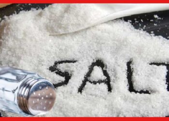 Salt : বেশি নুন খাওয়ার অভ্যাস? হতে পারে মারাত্মক ক্ষতি
