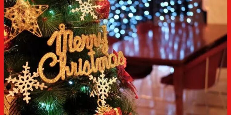 Merry Christmas: সবেতেই ‘হ্যাপি’, শুধু ক্রিসমাসের বেলায় ‘মেরি’ ! এমন নিয়ম আনল কে ?