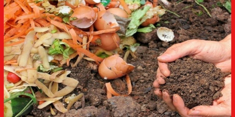 Organic Compost : রান্নাঘরের বর্জ্য ফেলে দেবেন না, সহজেই তৈরি করুন কৃষি উপযোগী জৈব সার