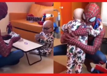 Spiderman: স্বপ্নের স্পাইডারম্যান বাস্তবে, রোগসজ্জায় ক্ষুদে ভক্তকে জড়িয়ে ধরলেন তিনি! ভাইরাল ভিডিও
