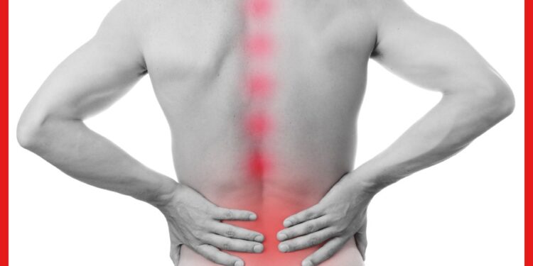 Spondylitis Symptoms: ঘাড় পিঠ কোমরে ব্যথা হয় অনেকেরই, স্পন্ডিলাইটিস হচ্ছে কোন কোন লক্ষণে বুঝবেন মহিলারা?