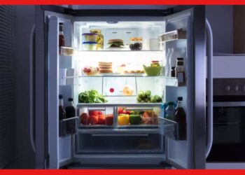 Tips For Fridge: আর কিছুদিন বাড়তে পারে আপনার ফ্রিজের আয়ু, এড়িয়ে চলুন এই ভুলগুলি