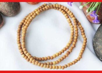 Tulsi mala: শুধু কৃষ্ণভক্ত হিসেবে নয়, একাধিক শারীরিক সমস্যা দূর করে তুলসীর মালা