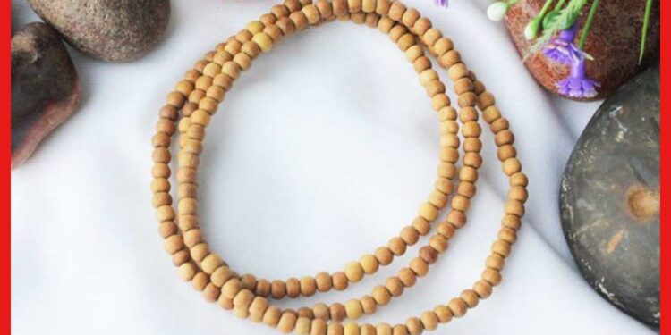Tulsi mala: শুধু কৃষ্ণভক্ত হিসেবে নয়, একাধিক শারীরিক সমস্যা দূর করে তুলসীর মালা