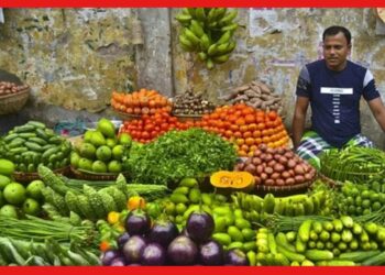 Market Price: শীত পড়তেই দাম কমছে সবজির, এক নজরে দেখুন দরদাম