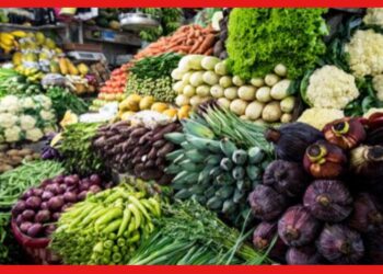 Vegetables business: এইভাবে শুরু করুন সবজির ব্যবসা, লাভ শুধু সময়ের অপেক্ষা