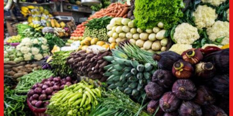 Vegetables business: এইভাবে শুরু করুন সবজির ব্যবসা, লাভ শুধু সময়ের অপেক্ষা