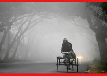 Weather update: বাড়ছে বাতাসে জলীয় বাষ্প, আজ থেকে আরও কমবে শীত