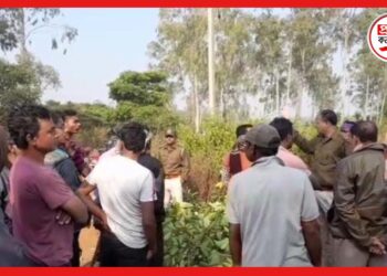 Road Block: বাঁকড়ায় হাতির তাণ্ডবে নাজেহাল, পথ অবরোধ গ্রামবাসীদের
