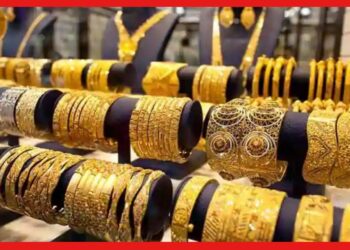 City gold business: সিটি গোল্ড জুয়েলারি ব্যবসা হতে পারে  নিয়মিত আয়ের অন্যতম উৎস