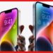 রমরমিয়ে বিকোচ্ছে ভুয়ো iPhone, নয়ডায় পাকড়াও ব্যবসায়ী, নকল চেনার ট্রিক জেনে নিন