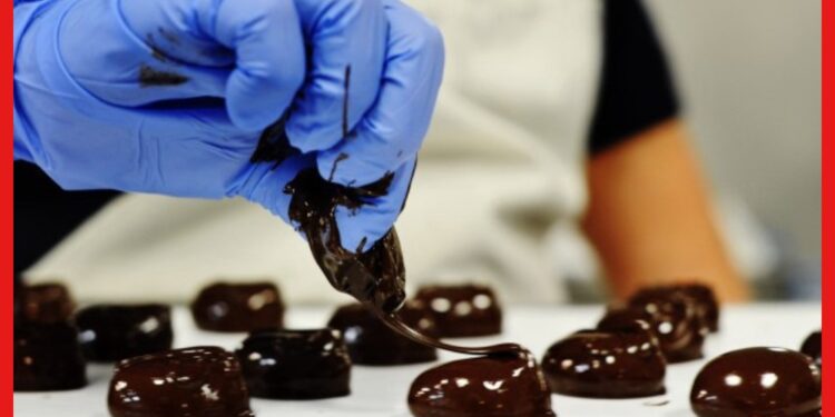 Chocolate Making Business: অল্প পুঁজিতে প্রগতিশীল ব্যবসার হদিশ চাই ? শুরু করতে পারেন চকলেট তৈরি