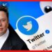 অবশেষে আসছে Twitter ব্লু টিক সাবস্ক্রিপশন! ভেরিফায়েড ব্যাজ পেতে কত খরচ করতে হবে?