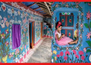 Alpona Village: গোটা গ্রাম যেন আস্ত একটা ক্যানভাস, বিচিত্র আলপনায় মোড়া লবনধার