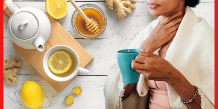 Throat home remedies: শীতে খুব গলা খুসখুস করছে? এই ঘরোয়া টোটকাগুলিতে গলা ব্যাথা নিমেষে গায়েব