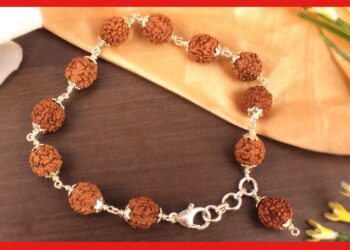 Rudraksha: গুণাগুণ না জেনেই রুদ্রাক্ষ ধারণ করেছেন ? সময় থাকতে জেনে নিন আসল তথ্য