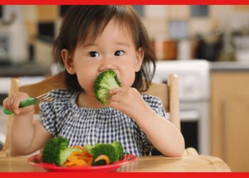 Vegetables for kids: ৬মাস থেকে ১ বছরের শিশুদের কোন কোন সবজি খাওয়াবেন? জেনে নিন