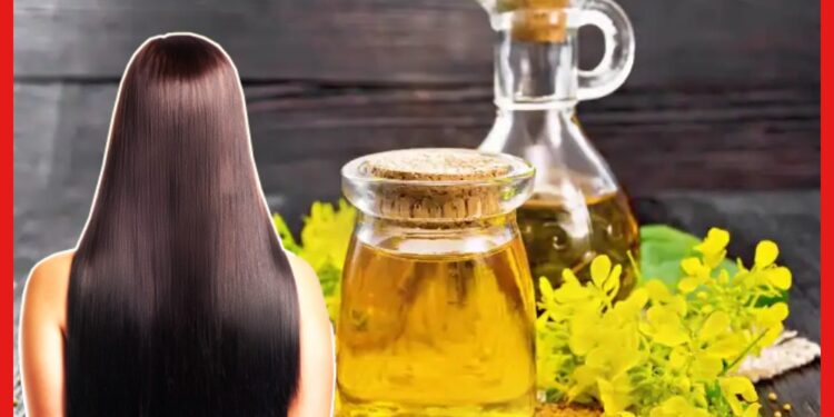 Mustard Oil on Hair: সরিষার তেল প্রাকৃতিক কন্ডিশনার, চুলের হাজারো সমস্যার সমাধান মিলবে এই ভাবে