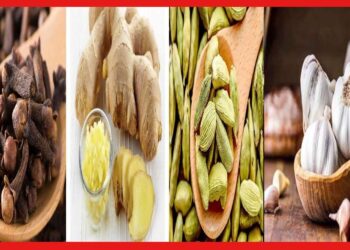 Omicron BF.7: করোনাকে ভয় নয়, জব্দ করুন রান্নাঘরের এই মশলা দিয়ে