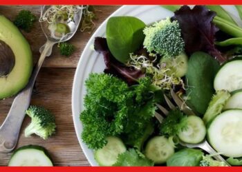 Healthy Food : মাথাচাড়া দিয়ে উঠেছে নয়া সংক্রমণ, সুস্থ থাকতে পাতে রাখবেন কোন কোন খাবার ?