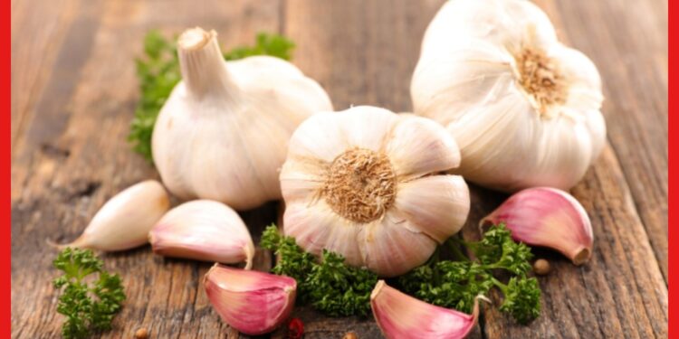 Benifits of garlic: ম্যাজিকের মতো উপকার পাবেন, রোজ খেতে হবে রসুন