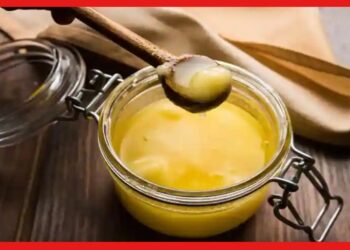 Ghee Making Business: একটি কাঁচামালেই হবে ব্যবসা! কম পুঁজিতে বাড়িতেই শুরু করুন ঘি তৈরি